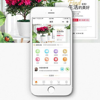 金沙门店微商城小程序开发