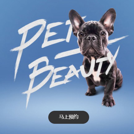 金沙宠物中心小程序开发