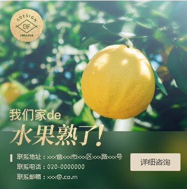 金沙果园果林小程序开发